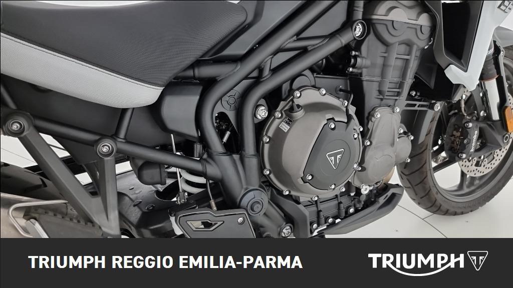 TRIUMPH Tiger 1200 Alpine Edition Abs