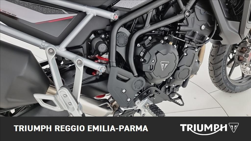 TRIUMPH Tiger 900 GT Pro Abs