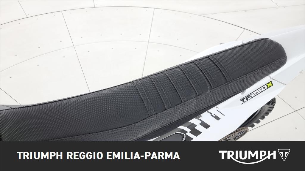 TRIUMPH TF 250 X Abs