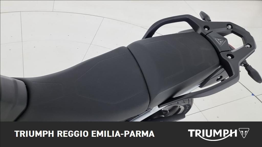 TRIUMPH Tiger 900 Alpine Edition