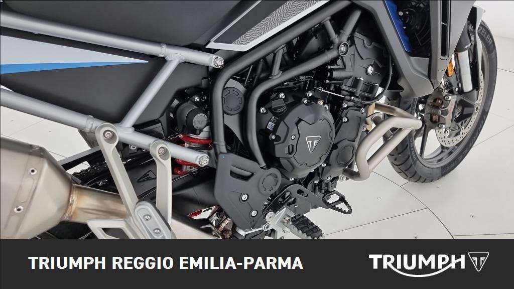 TRIUMPH Tiger 900 Alpine Edition