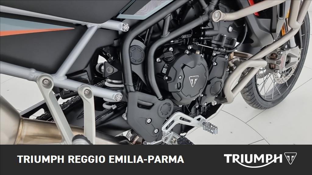 TRIUMPH Tiger 900 Desert Edition