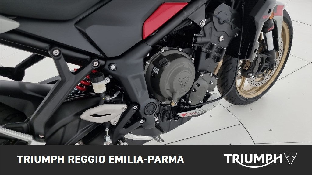 TRIUMPH Trident 800 Ash Grey Abs