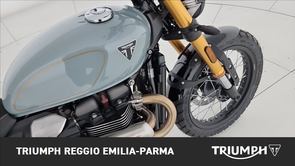 TRIUMPH Scrambler 900 Abs