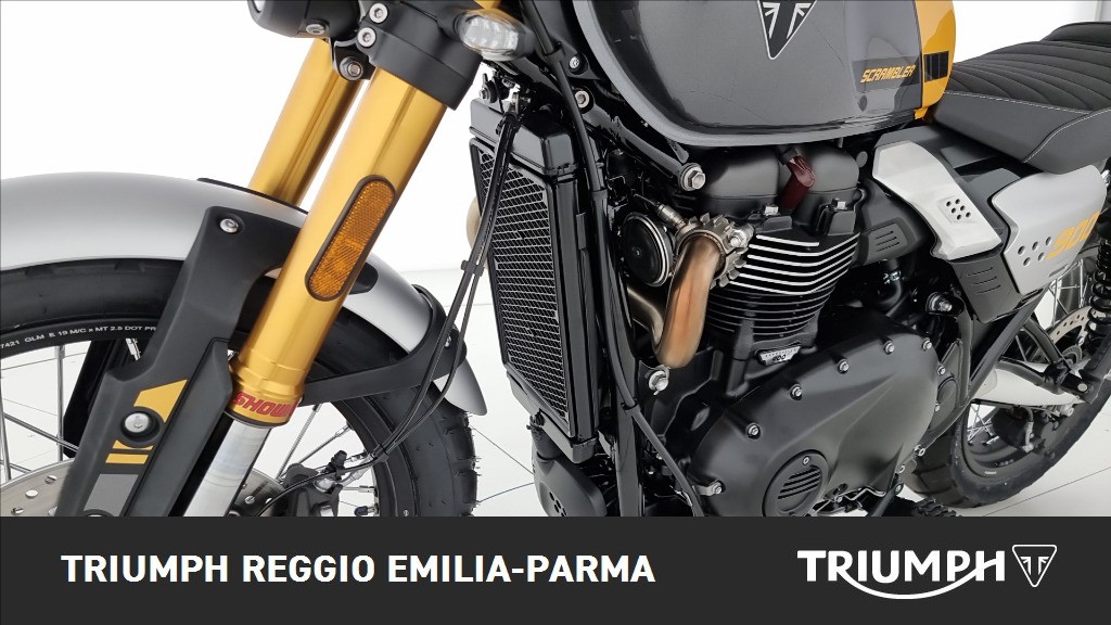TRIUMPH Scrambler 900 Abs