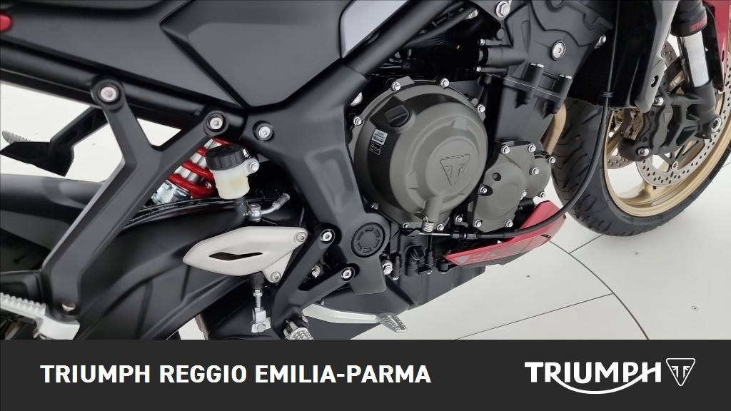 TRIUMPH Trident 800 Ash Grey Abs