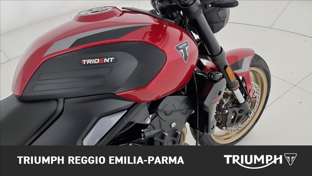 TRIUMPH Trident 800 Ash Grey Abs