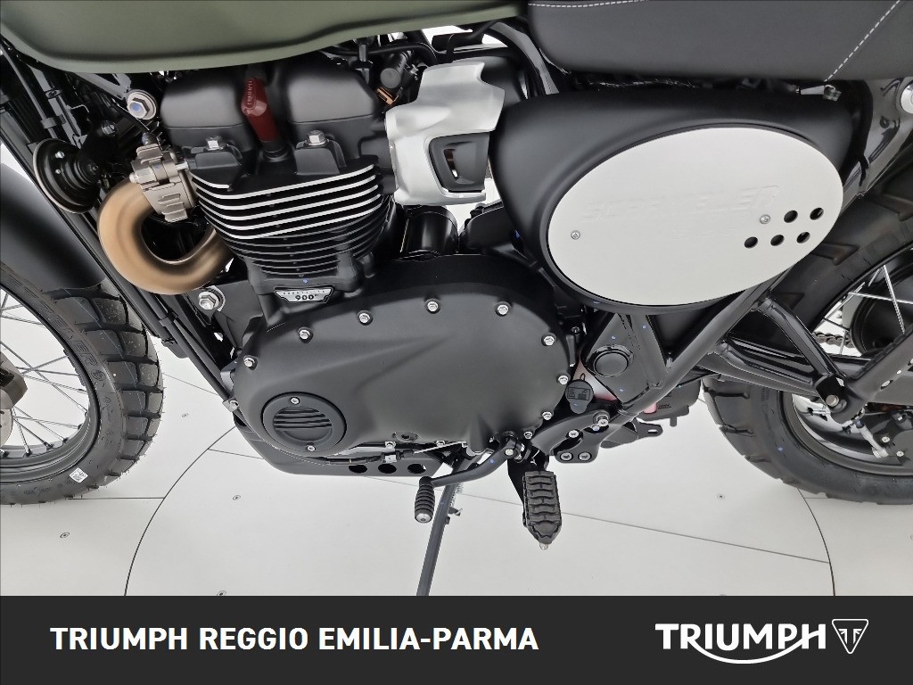 TRIUMPH Scrambler 900 Abs
