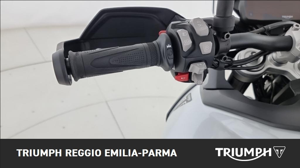 TRIUMPH Tiger 900 Alpine Edition