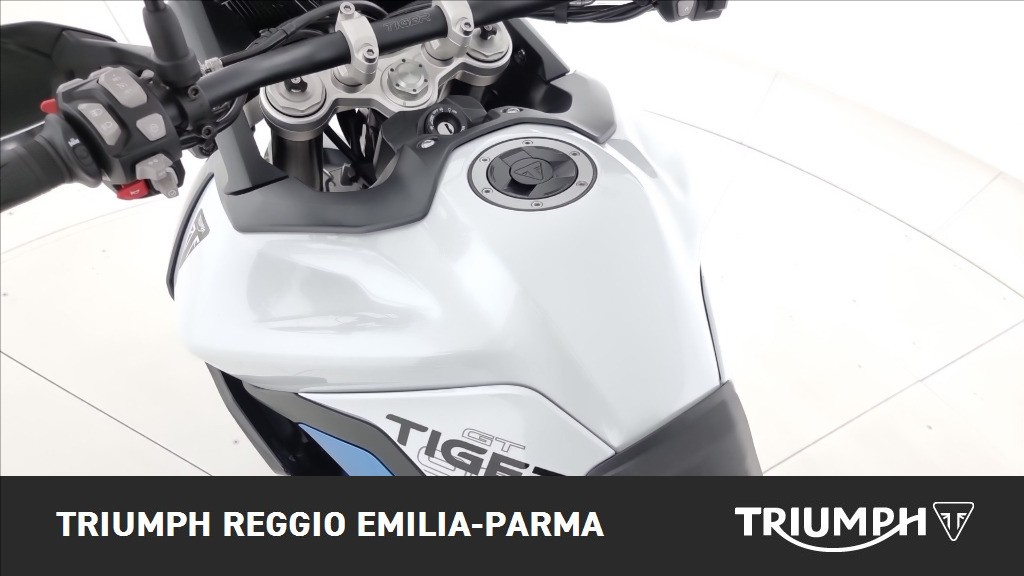 TRIUMPH Tiger 900 Alpine Edition
