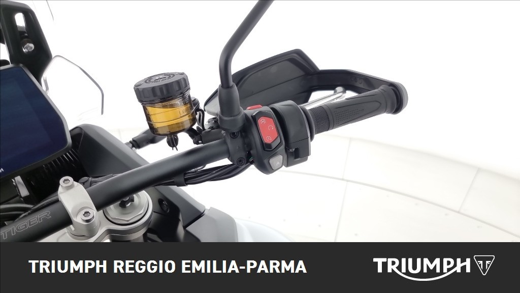 TRIUMPH Tiger 900 Alpine Edition