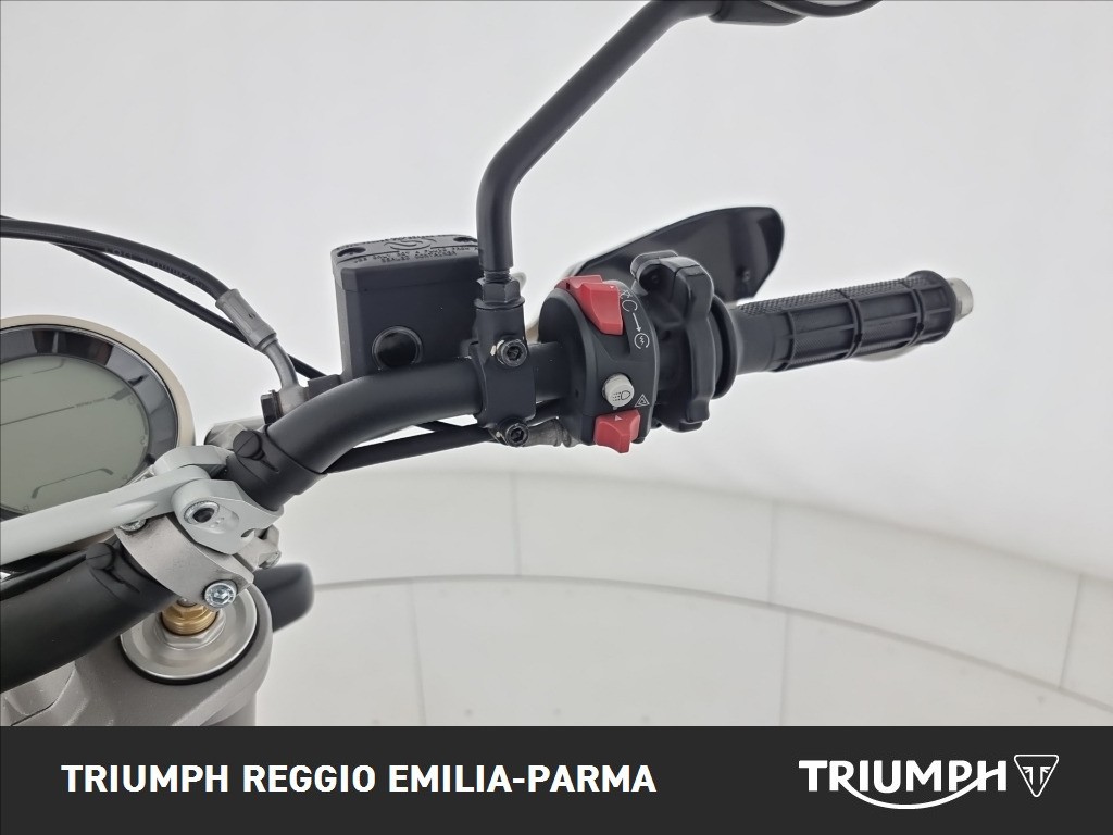 DUCATI Scrambler 800 Desert Sled
